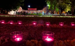 Leuchtende pinke Kerzen auf einer Wiese im Kurpark bei Dunkelheit. Im Hintergrund ist die Wandelhalle mit davorstehenden Menschen zu sehen,