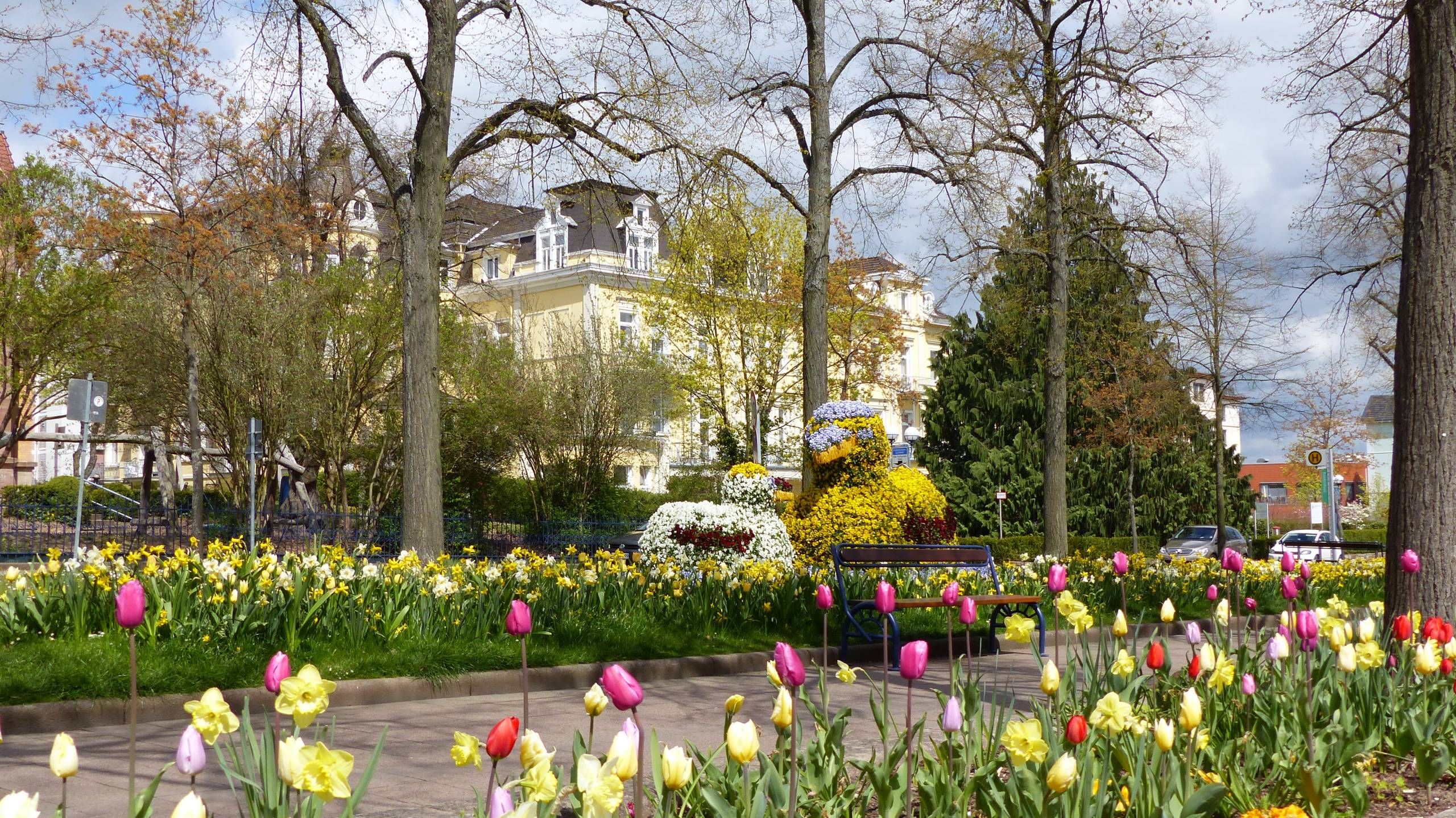 Brunnenallee im Frühling mit vielen Tulpen und zwei Enten aus Blumen.