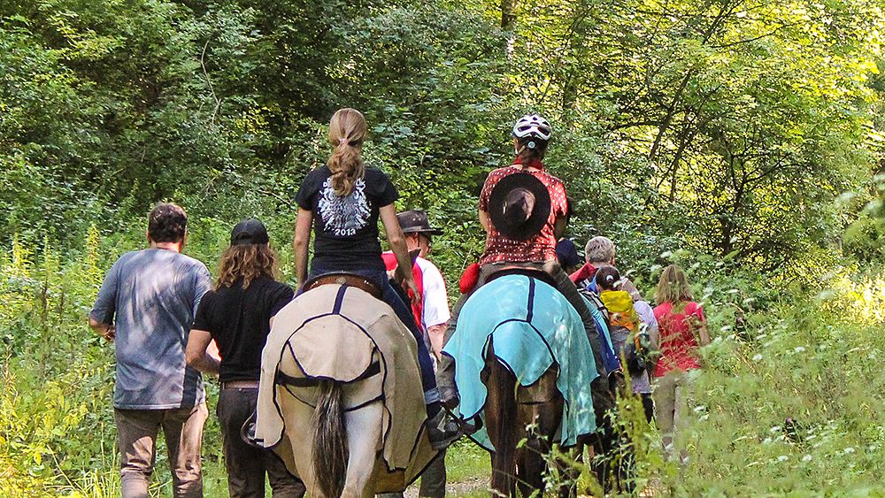 Blick von hinten auf eine Gruppe von Personen, die auf einem Feldweg läuft. 2 Personen reiten auf Pferden entlang der Gruppe