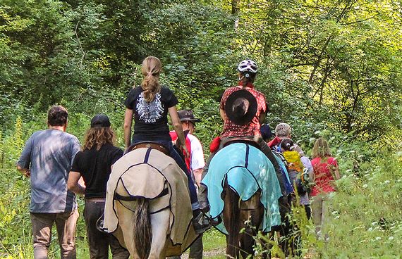 Blick von hinten auf eine Gruppe von Personen, die auf einem Feldweg läuft. 2 Personen reiten auf Pferden entlang der Gruppe
