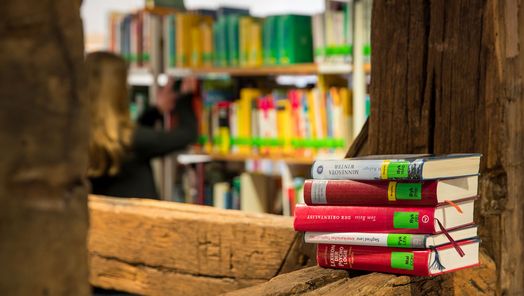Nahaufnahme von Büchern aus der Stadtbücherei Bad Wildungen.