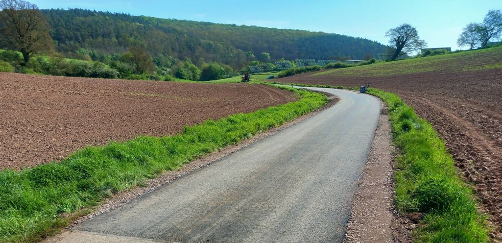 Ein Feldweg umgeben von Äckern