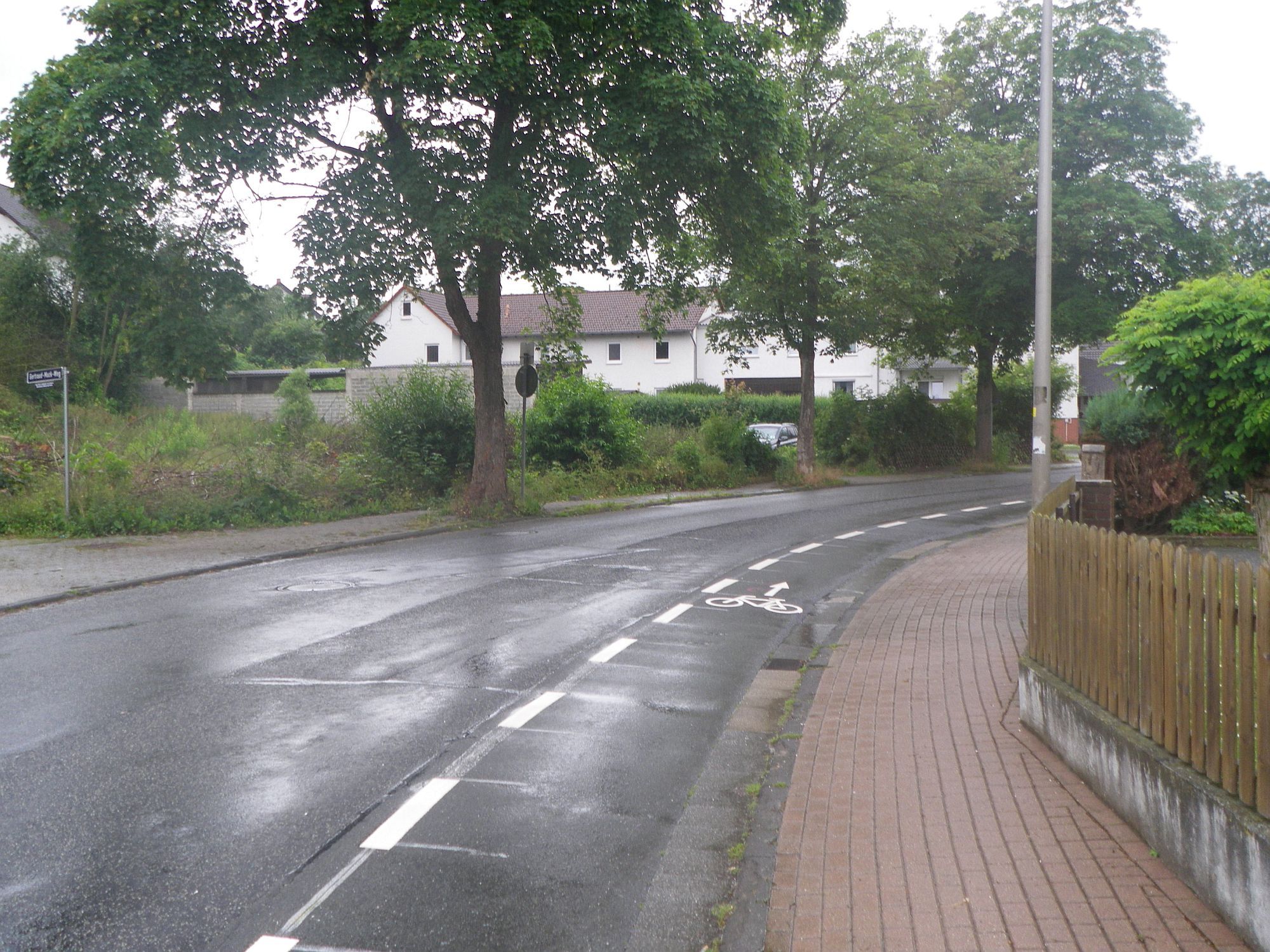 Eine Kurve bei der Itzelstraße. Rechts und links sind Wohnhäuser. Auf dem Bürgersteig wachsen Bäume.