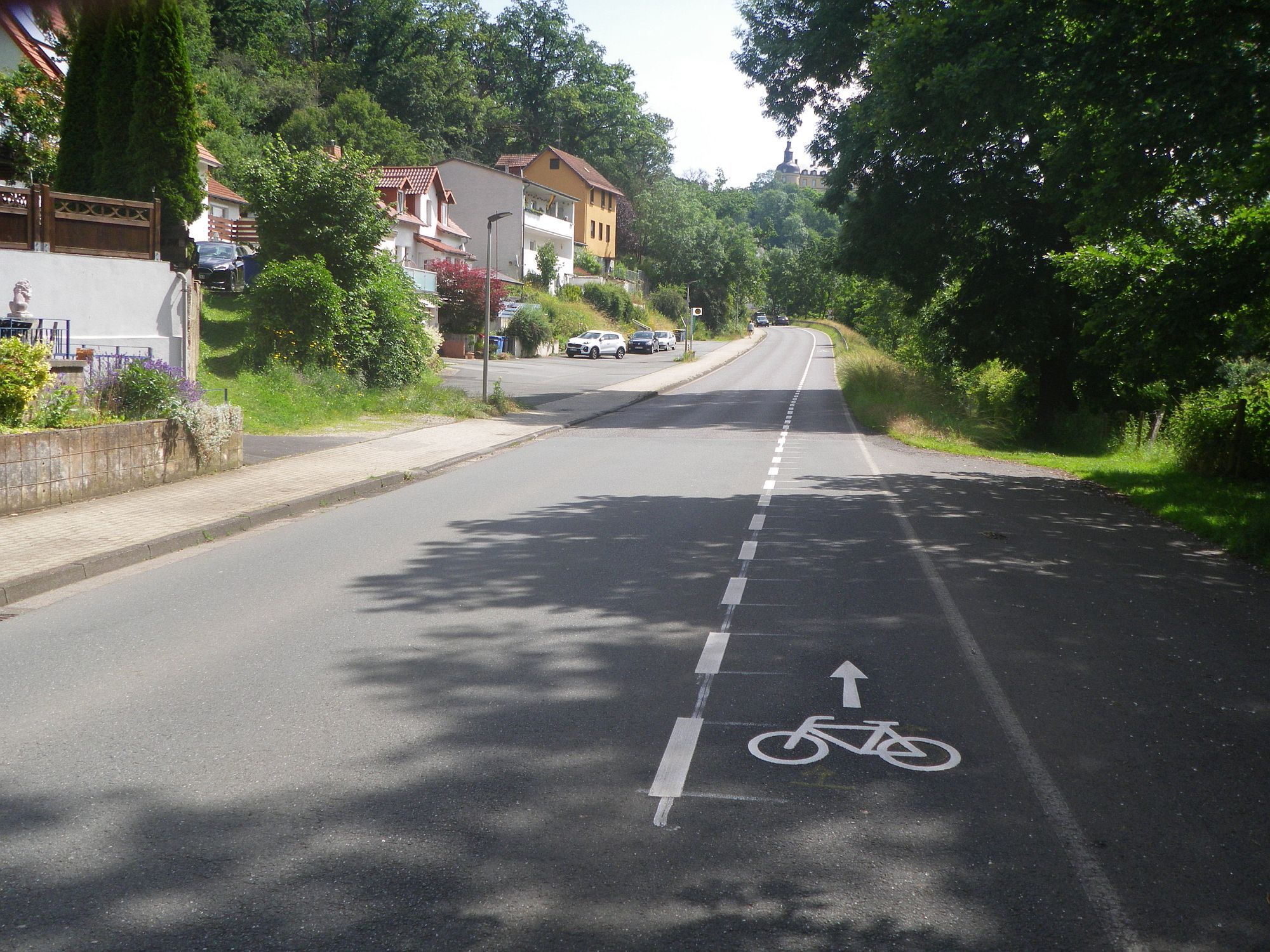 Blick auf die Reitzenhagener Straße, welche von Bäumen und Büschen umgeben ist