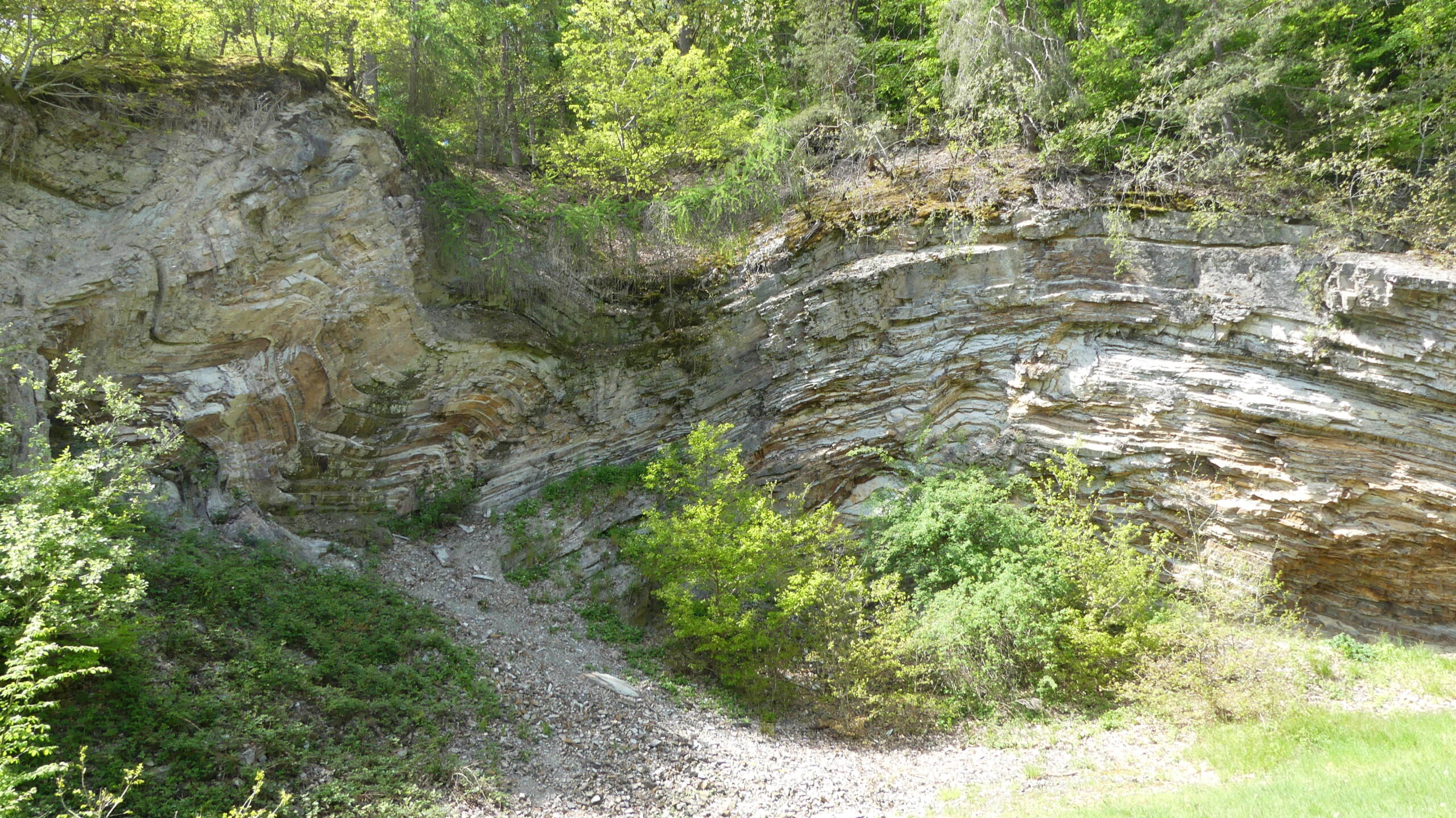 Eine wellenartige Steinwand auf der Büsche und Bäume wachsen.