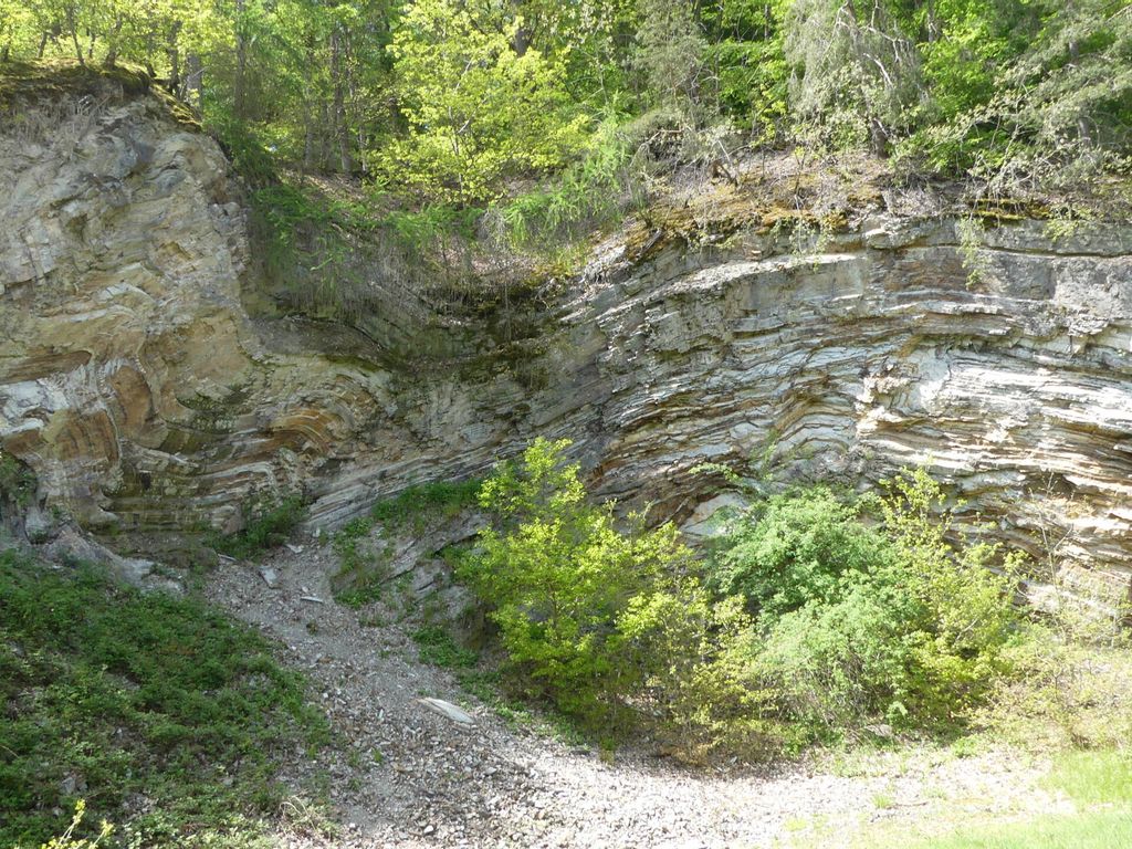 Eine wellenartige Steinwand auf der Büsche und Bäume wachsen.