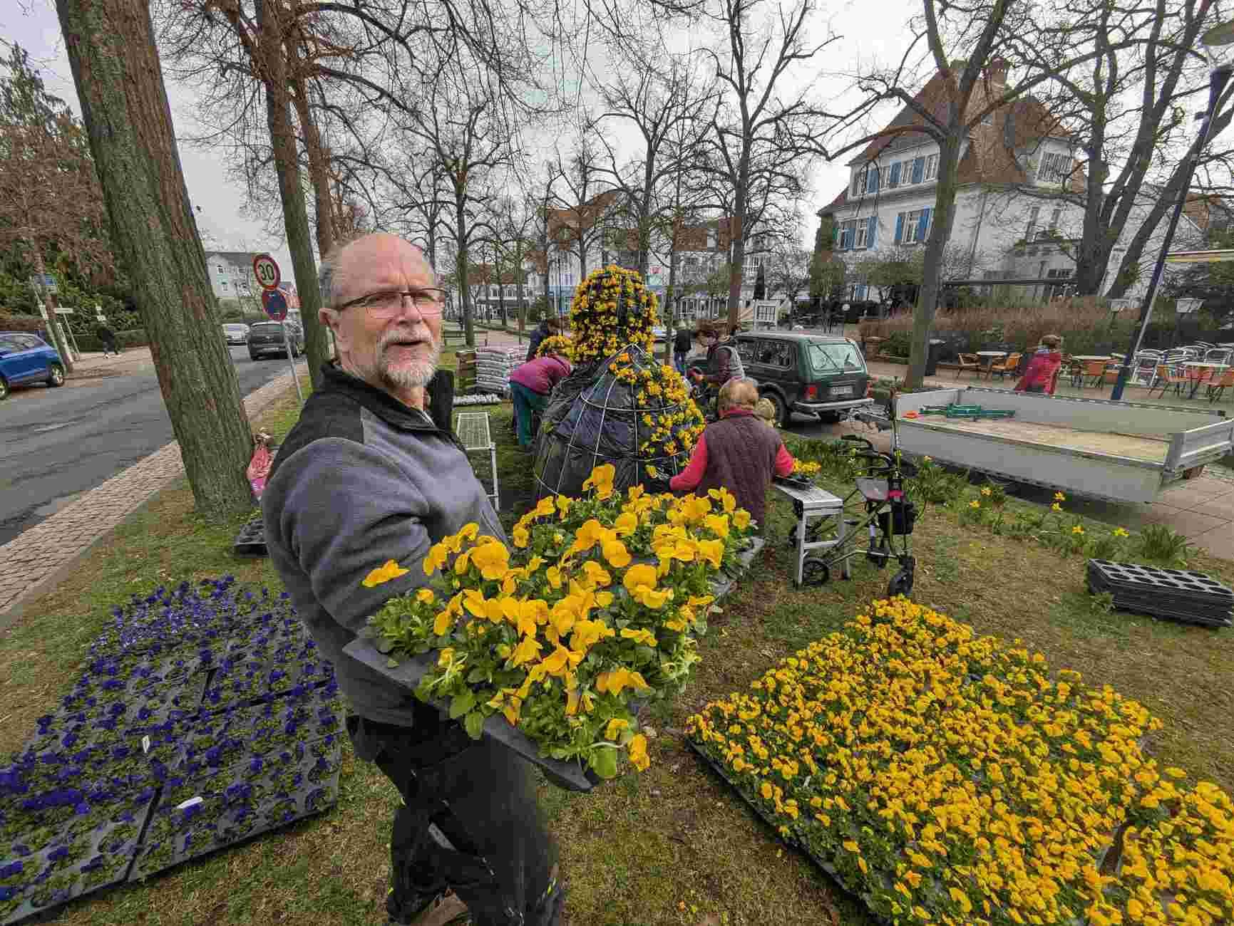 Vorbereitung des Osterschmucks in Bad Wildungen.