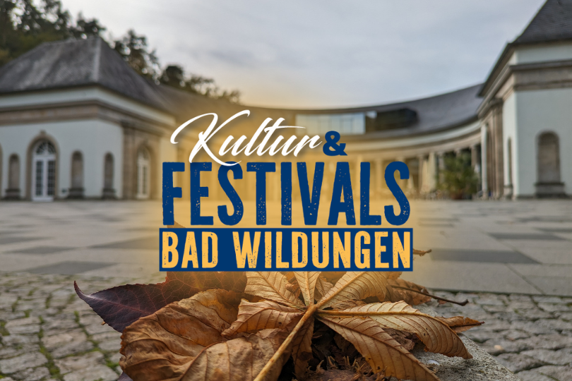 Veranstaltungen im November