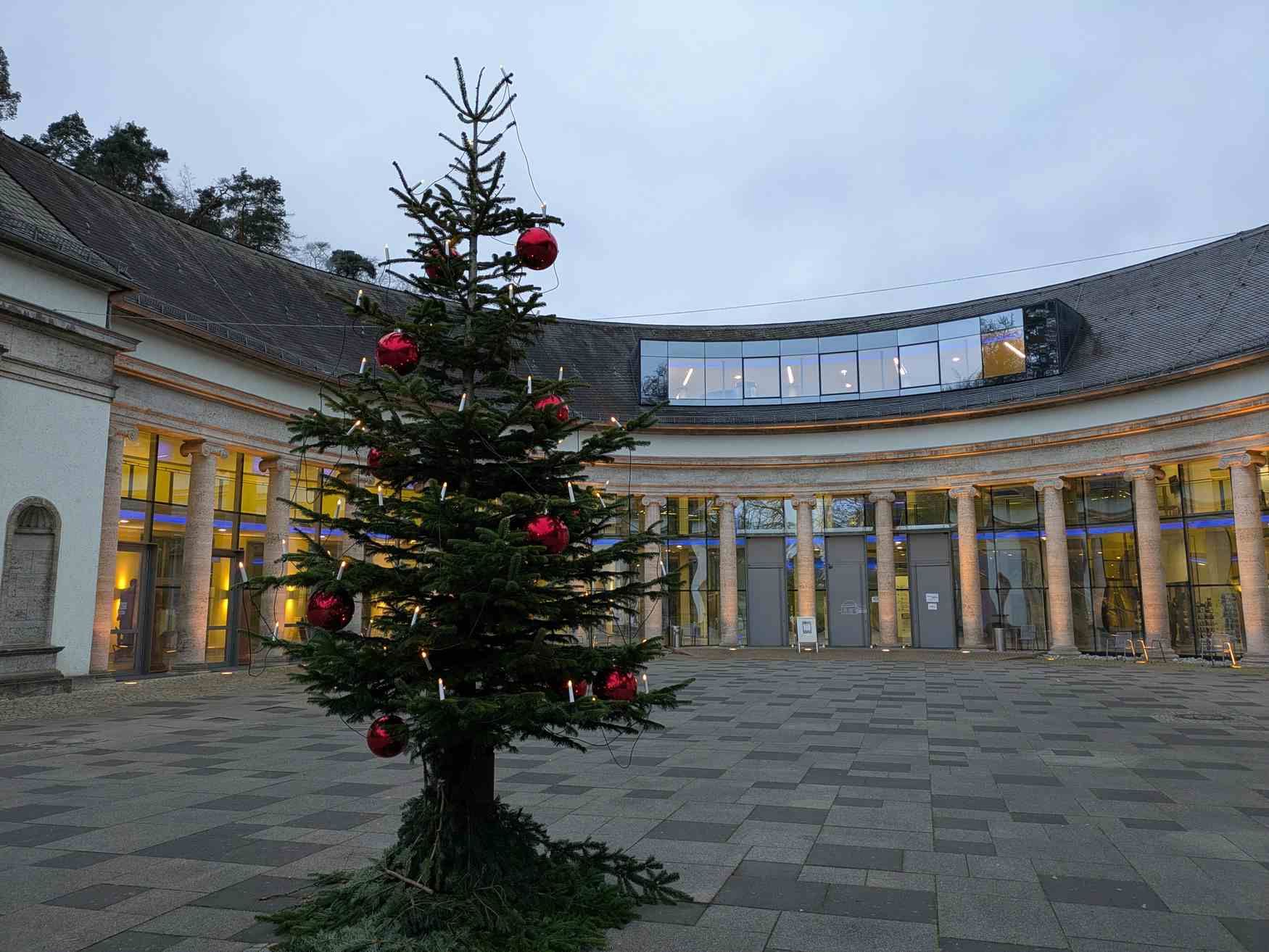 Zu sehen ist ein mit rotem Kugel geschmückter Tannebaum vor der Wandelhalle Bad Wildungen bei Tageslicht.