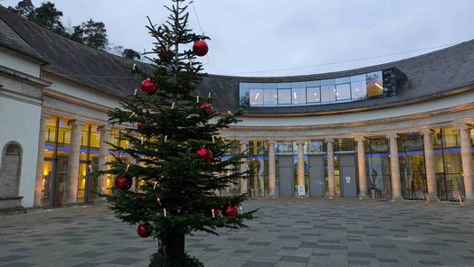 Zu sehen ist ein mit rotem Kugel geschmückter Tannebaum vor der Wandelhalle Bad Wildungen bei Tageslicht.