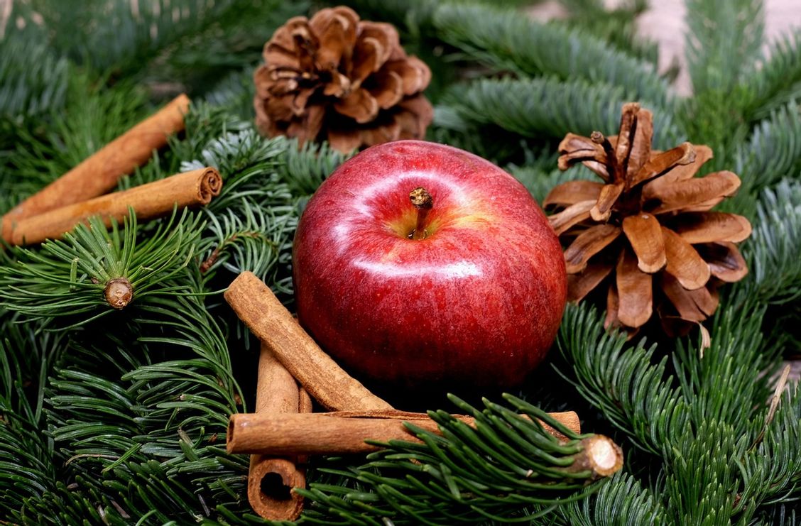 Zu sehen sind Tannenzweige, ein roter Apfel, zwei Tannenzapfen und ein paar Zimtstangen in Nahaufnahme.