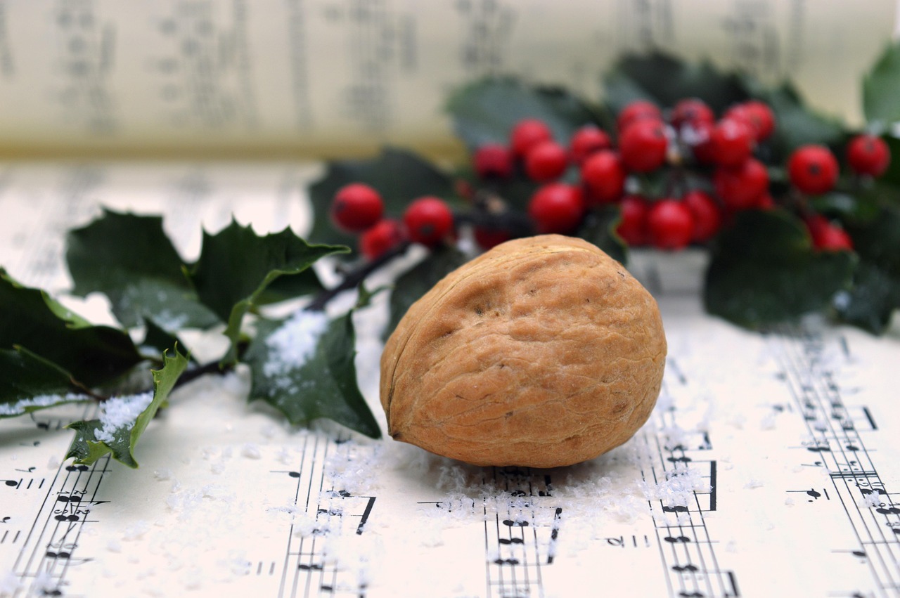 Zu sehen sind ein Distelzweig mit roten Beeren und eine Walnuss auf einem Notenblatt liegend.