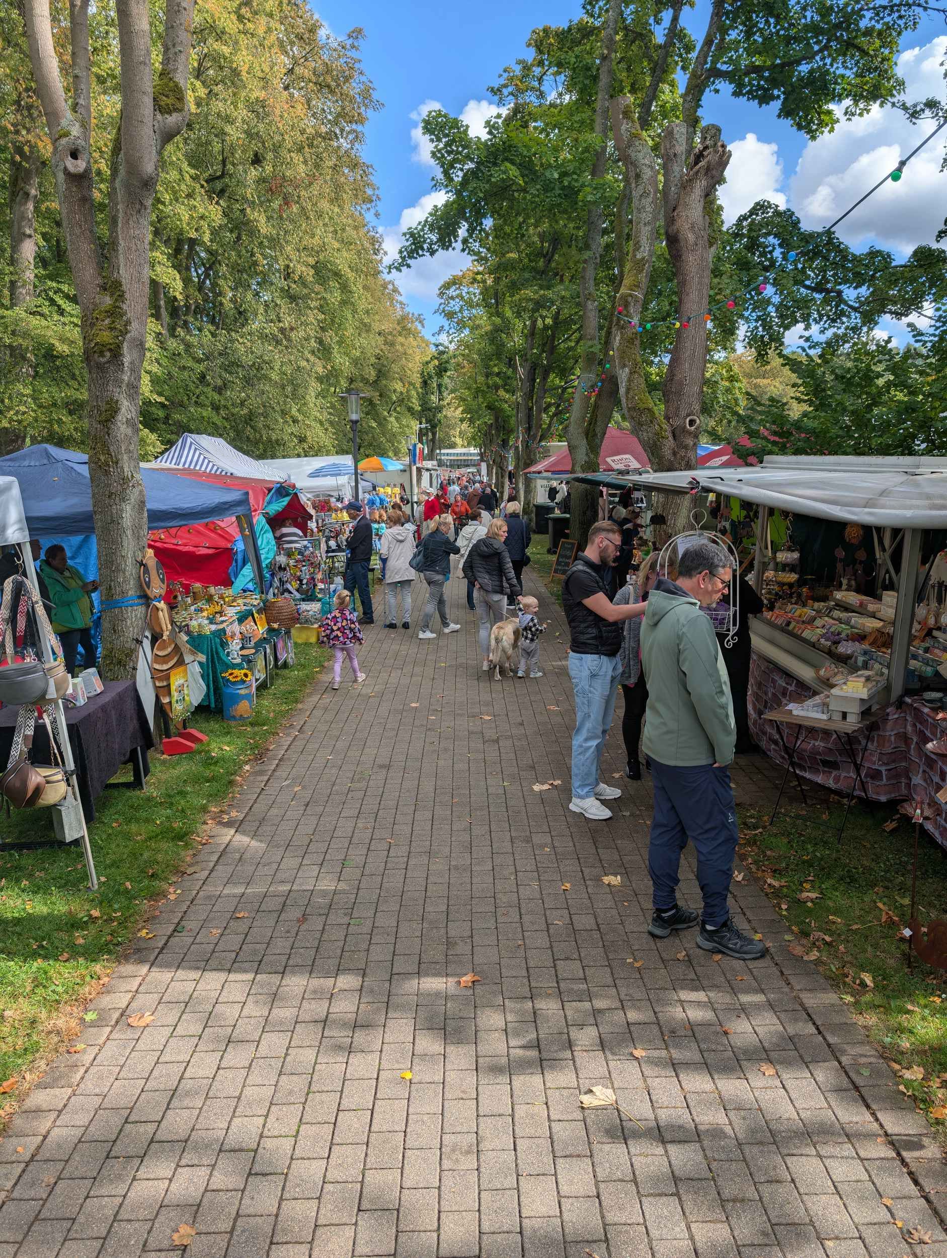 Zu sehen sind Menschen auf dem Kartoffelfest im Kurpark Reinhardhausen. Rechts links vom Wege sind Bäume sowie zahlreiche Verkaufsstände zu sehen.