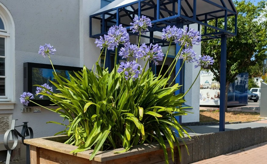 Neuigkeiten Frühjahr 2026