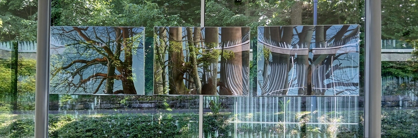 Kunst trifft Natur: Neues Baumstücke-Triptychon bereichert die Wandelhalle