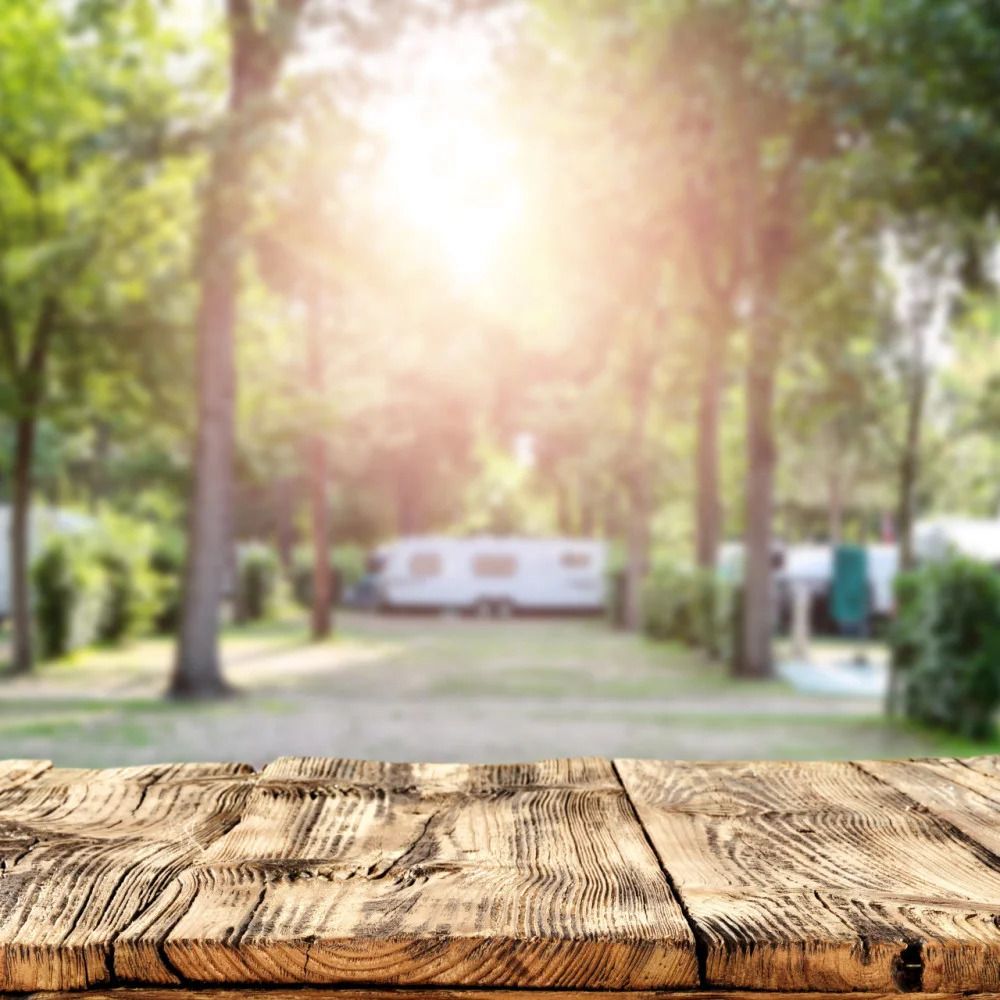 Moseltour mit dem BVCD