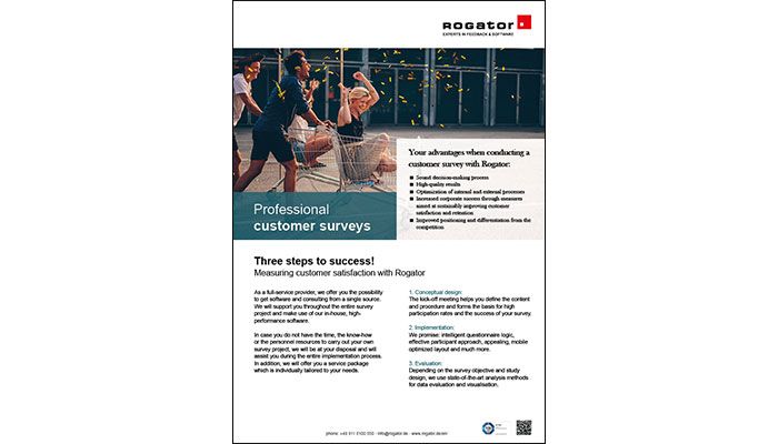 Factsheet Customer Surveys