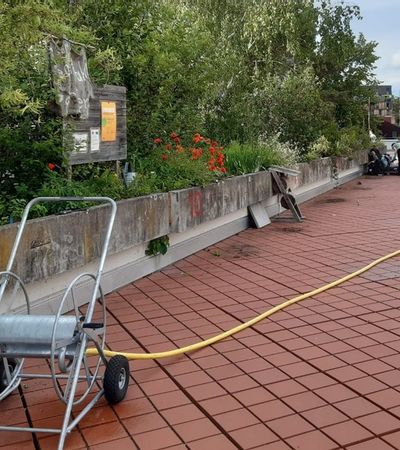 Garten-Projekt auf dem roten Platz der technischen Fakultät.