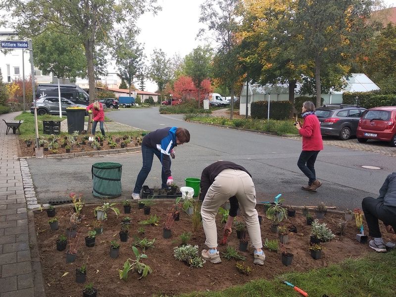 Neue Rubrik im Engagementfinder des Ehrenamtsbüros: Klima & Nachhaltigkeit