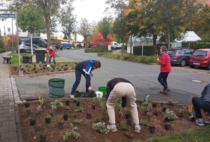 Neue Rubrik im Engagementfinder des Ehrenamtsbüros: Klima & Nachhaltigkeit