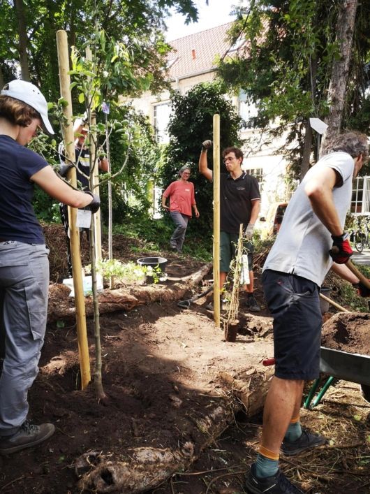 Menschen pflanzen Bäume