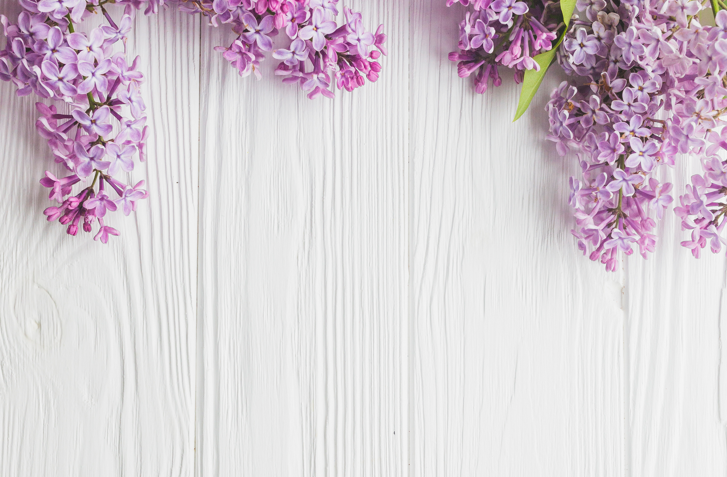 Hintergrundbild, Header_1