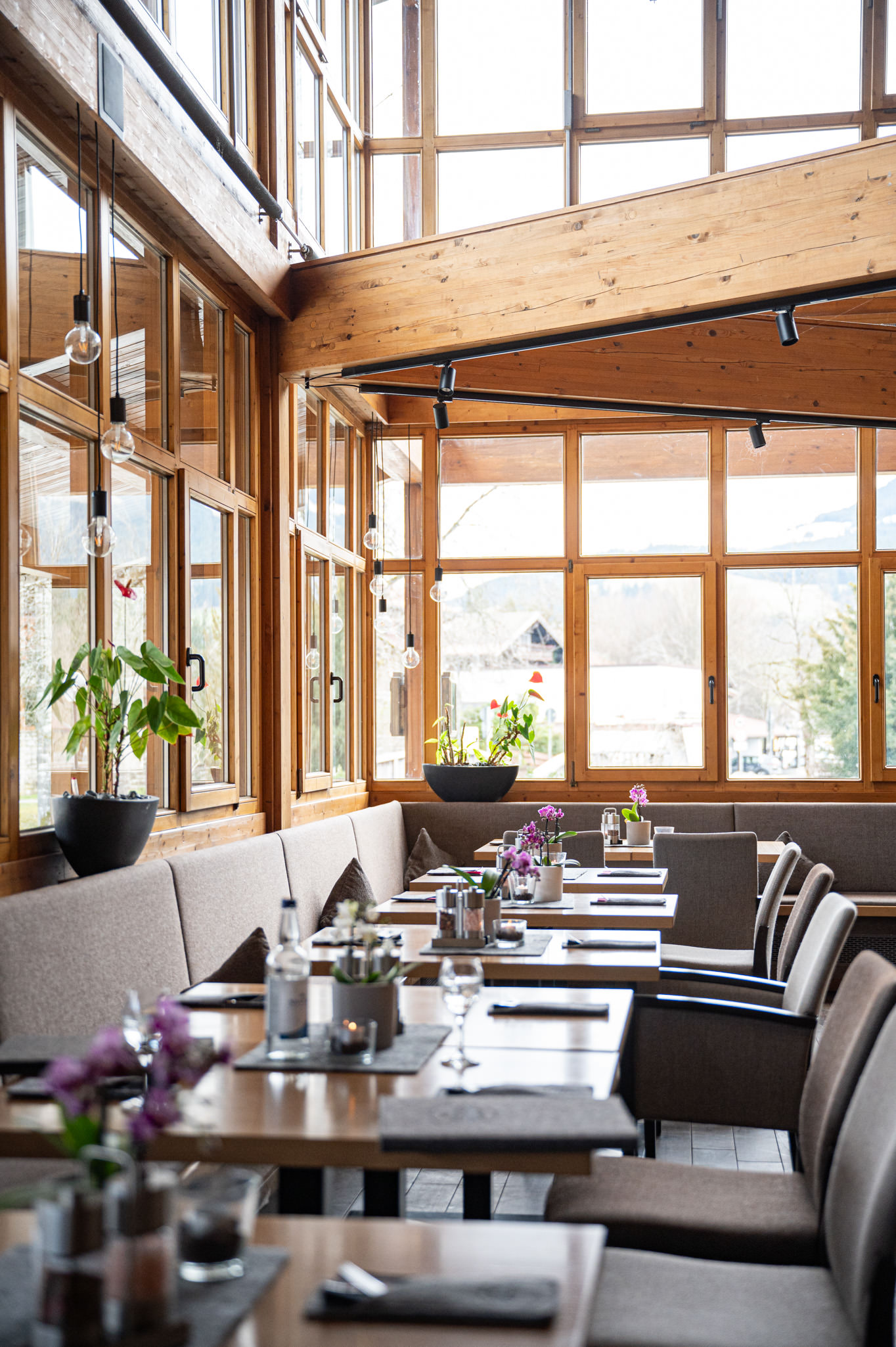 Blick in den stilvoll gestalteten Gastraum der Speisegalerie Fischen mit elegant gedeckten Tischen – einladendes Ambiente für kulinarischen Genuss und kulturelle Begegnungen.