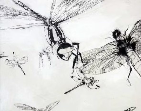 Zeichnungen und farbige Kunstwerke von Georg Kleber, darunter Kohlezeichnungen auf Filz mit Libellen-Motiven und expressive Werke mit Ölkreide, aus der aktuellen Ausstellung.