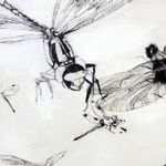Zeichnungen und farbige Kunstwerke von Georg Kleber, darunter Kohlezeichnungen auf Filz mit Libellen-Motiven und expressive Werke mit Ölkreide, aus der aktuellen Ausstellung.