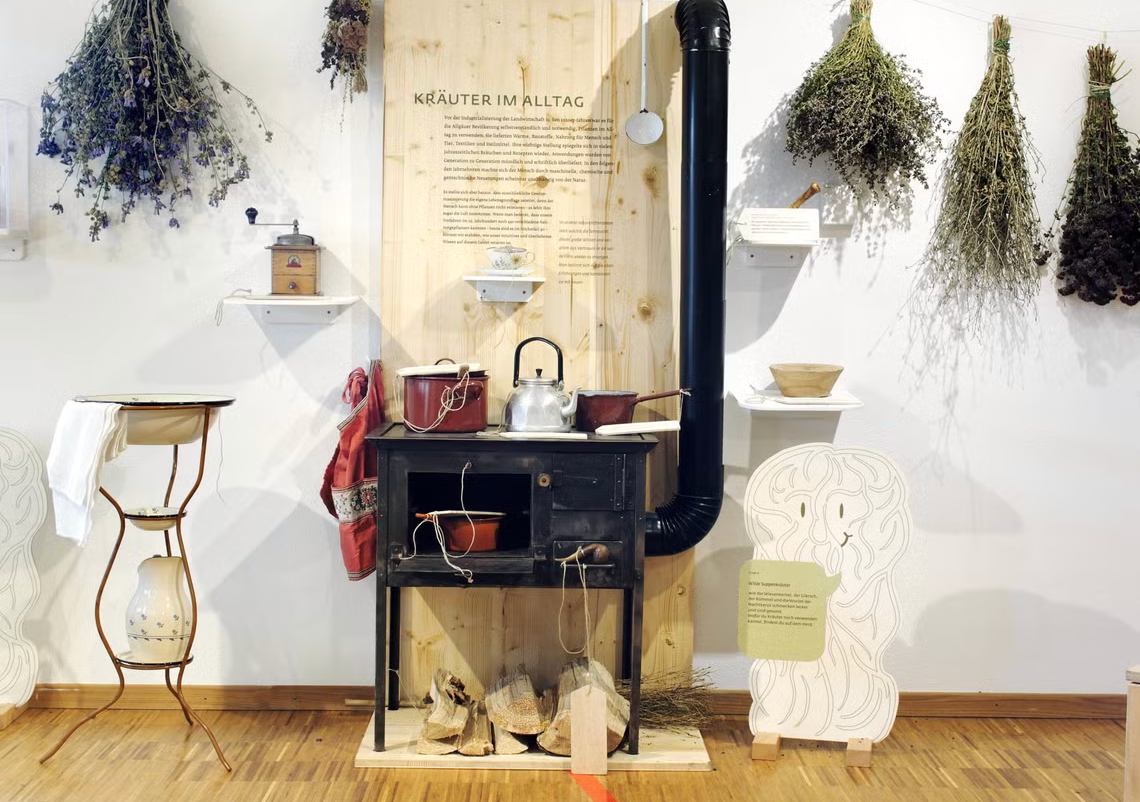 Kräuter im Alltag