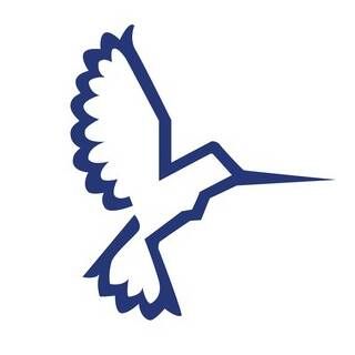 blue bird on a white background