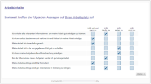 Screenshot vom Item IT-Administration aus interner Kundenzufriedenheitsbefragung