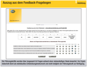 Screenshot Hella Befragung Feedback-Fragebogen