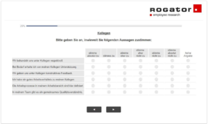 Screenshot Item zur Bewertung der Kollegen aus hybrider Mitarbeiterbefragung