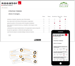 Internationales 360-Grad-Feedback Beispielfrage zu Strategic thinking