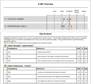 Internationales 360-Grad-Feedback Beispiel Overview und Gap Analysis