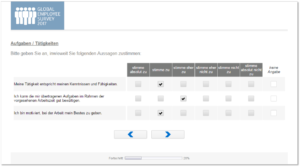 Beispiel einer internationalen Mitarbeiterbefragung in Form einer Matrix