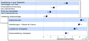 Screenshot mit Diagrammen Auswertung der Items