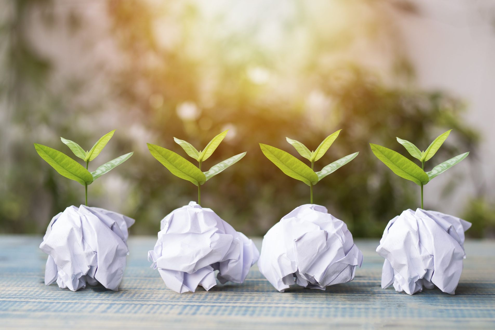 Vier kleine Bäume wachsen aus Papierball