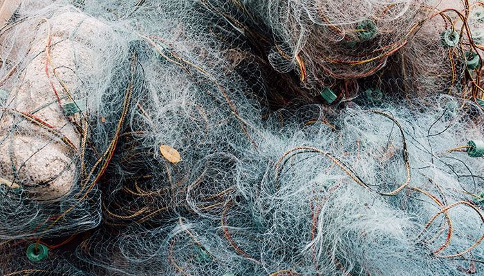 Geisternetzte aus der Ostsee