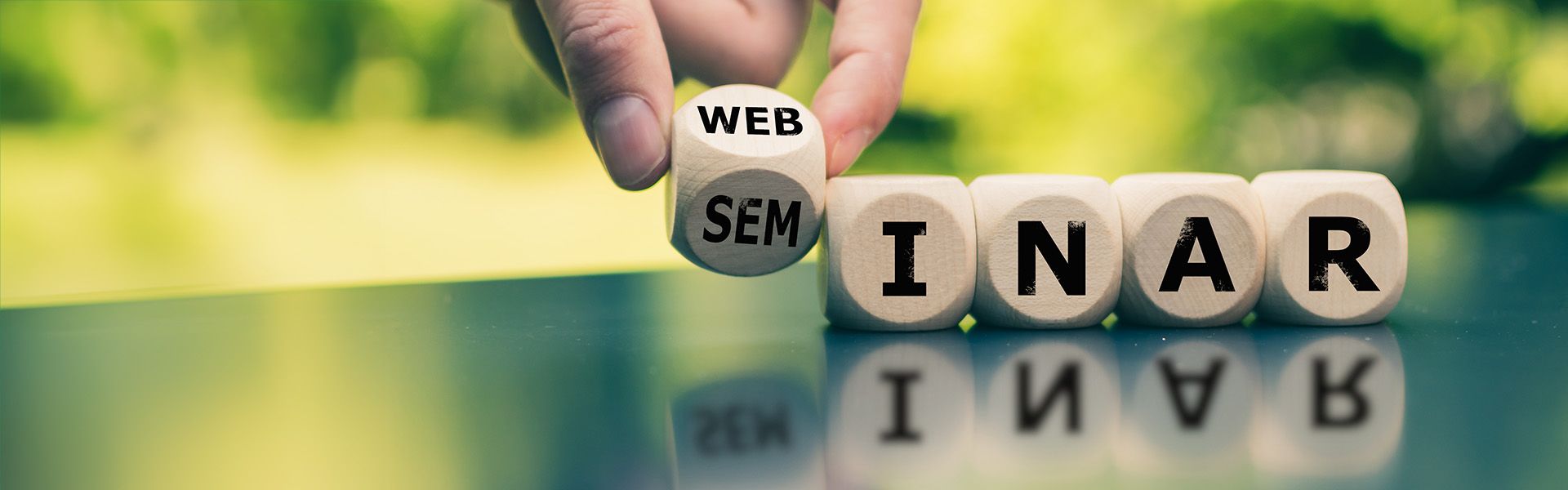 Web-Seminar Titelbild Kundenbefragung