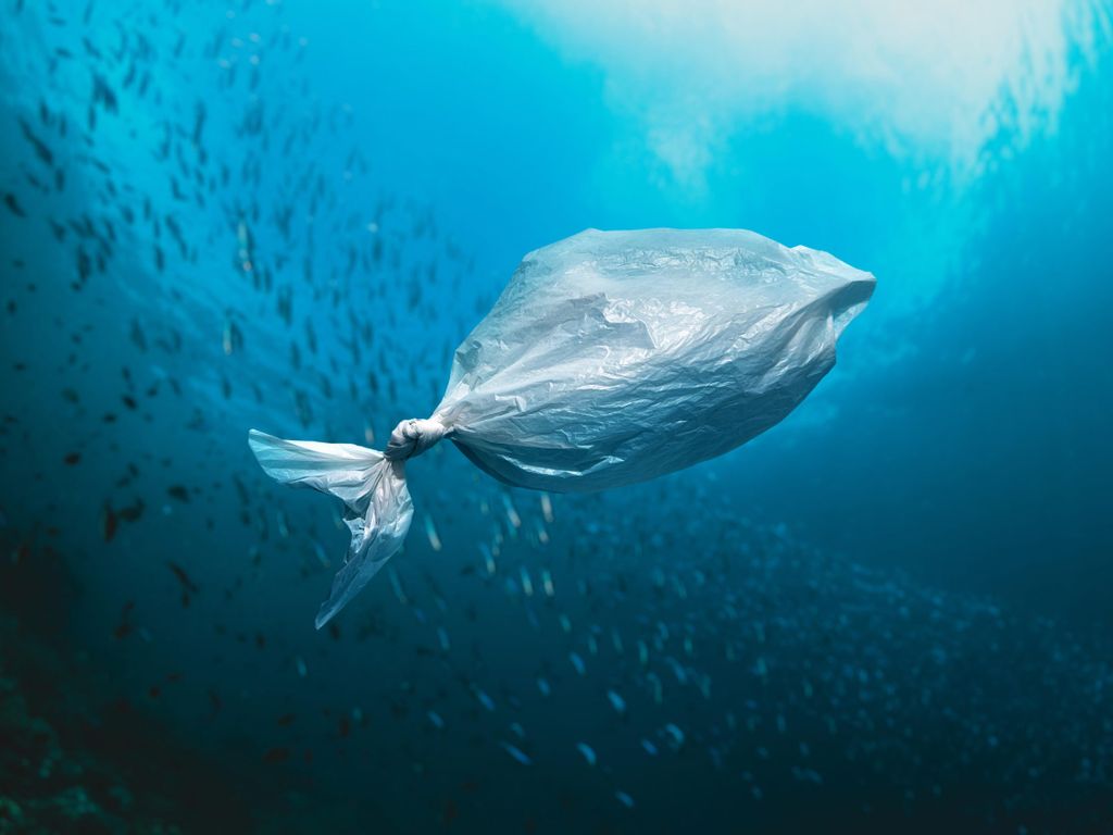 Fisch aus Plastiktüte in Ozean zeigt Notwendigkeit für ökologische Nachhaltigkeit auf