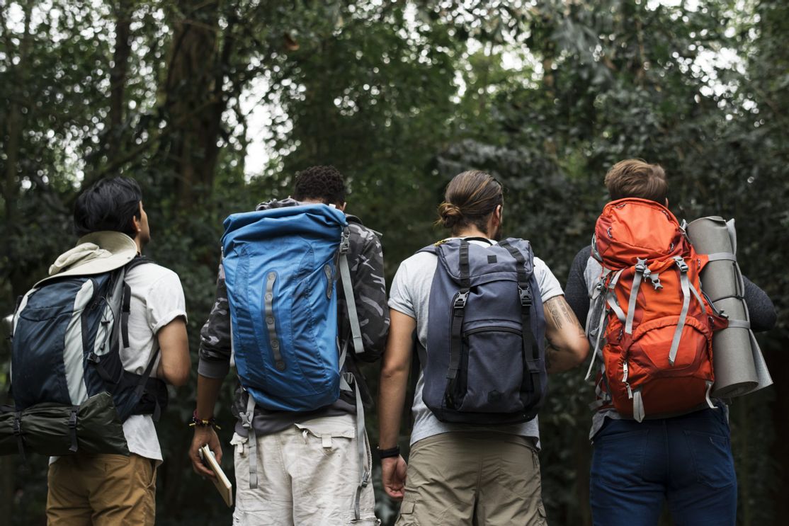 Klassische Mitarbeiterbefragung Zusammen im Wald wandern