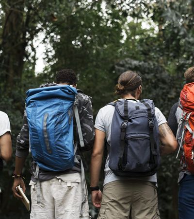 Klassische Mitarbeiterbefragung Zusammen im Wald wandern