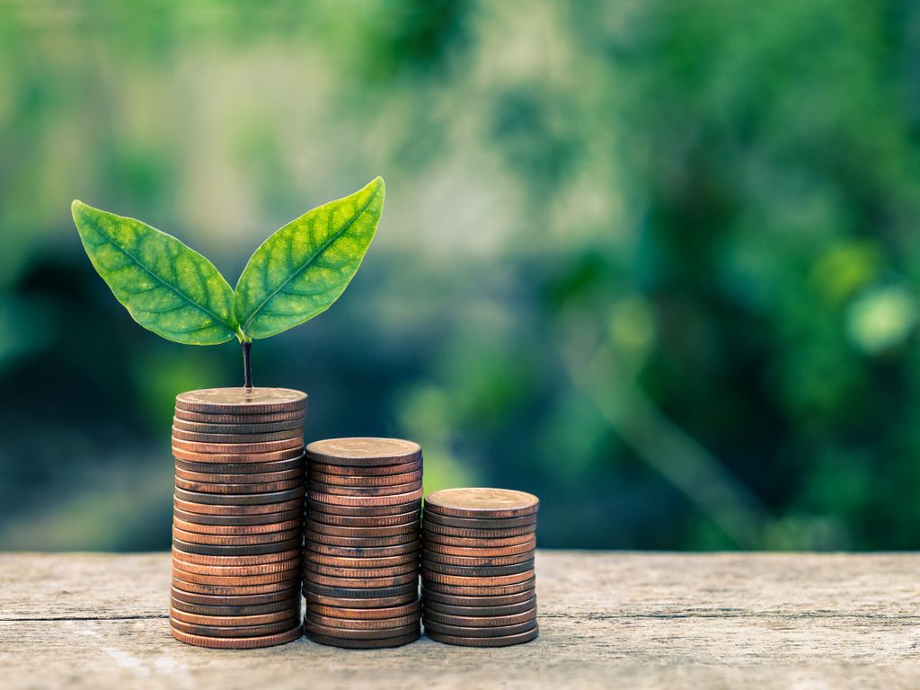 Stapel mit Münzen und Keimling dahinter symbolisieren wirtschaftliche Nachhaltigkeit