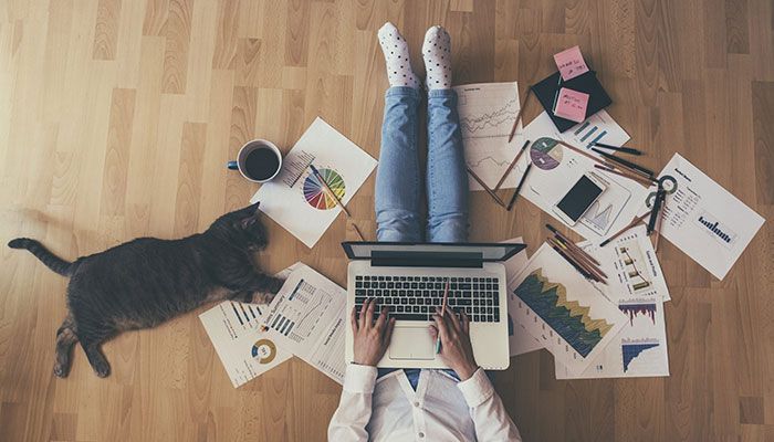 Eine Person sitzt auf dem Boden umringt von Arbeitsunterlagen und einer Katze und arbeitet am Change Management.