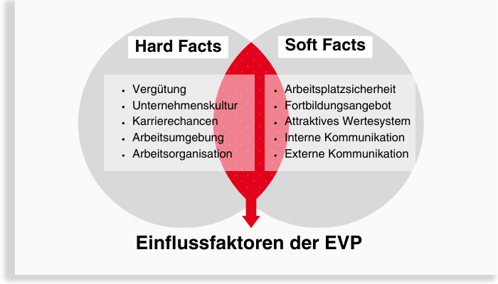 Harte und weiche Einflussfaktoren der mployer Value Proposition