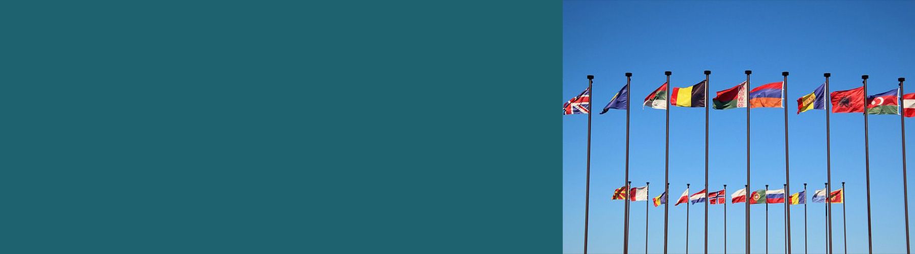 Die Vielfalt bei einer Internationale Kundenbefragung ist durch verschiedene Flaggen zu sehen, die an Masten hängen.