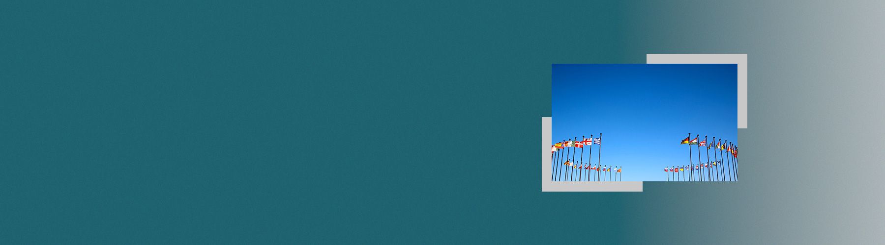 Internationales Kundenfeedback wird durch verschiedene Länderflaggen dargestellt.