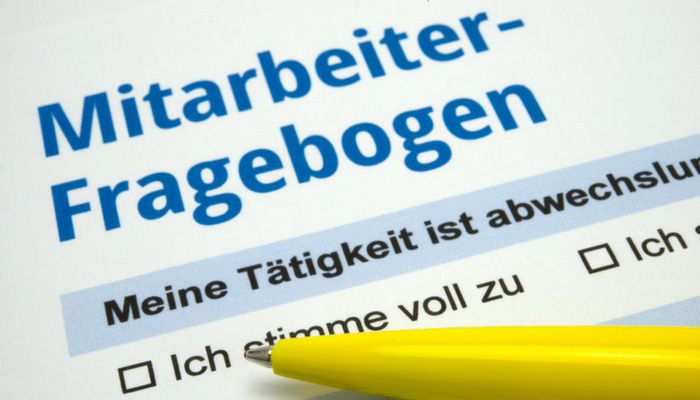 Beispiele von Mitarbeiterbefragungen